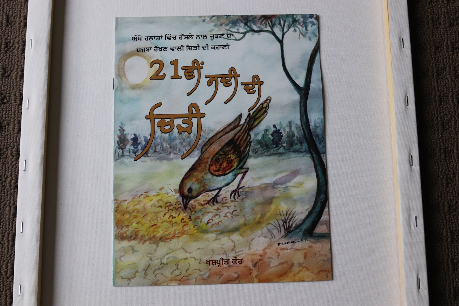 Kitab Wala - Buy Famous Punjabi Books in Australia – Kitabvala