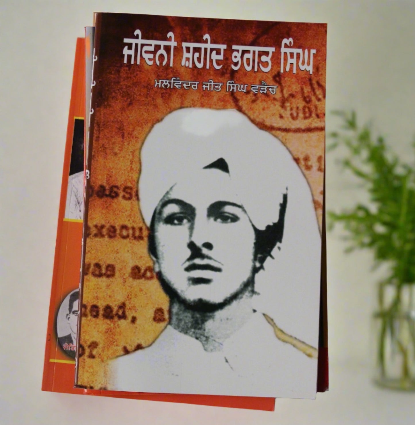 ਜੀਵਨੀ ਸ਼ਹੀਦ ਭਗਤ ਸਿੰਘ  [Jiwani Shaheed Bhagat Singh]